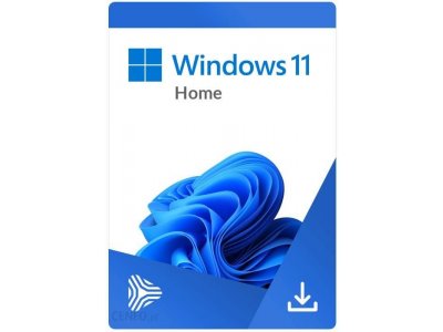 Windows 11
